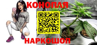скорость mdpv Камышлов