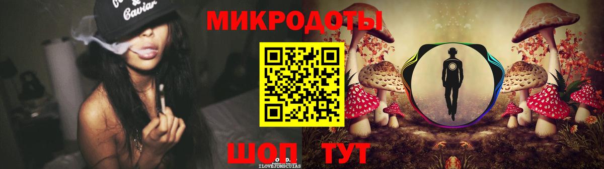 Псилоцибиновые грибы Psilocybine cubensis Моршанск